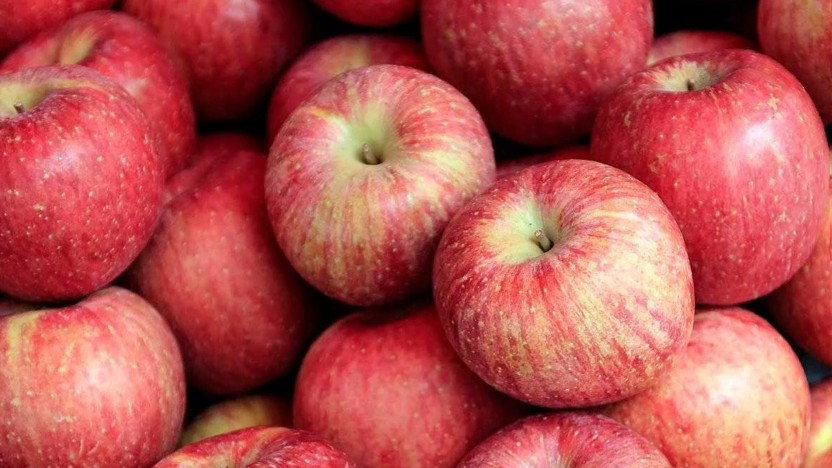 Beatriz manzana ablandamiento.jpg